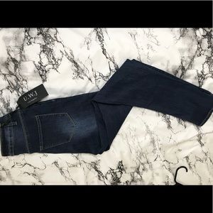 Fashion Nova High Waisted Skinny Jeans